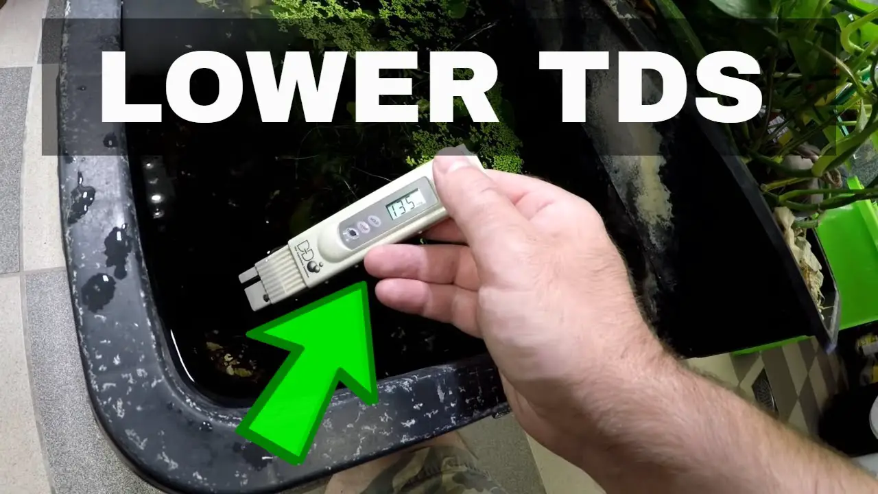 https://aquariumia.com/how-to-lower-tds-in-aquarium/