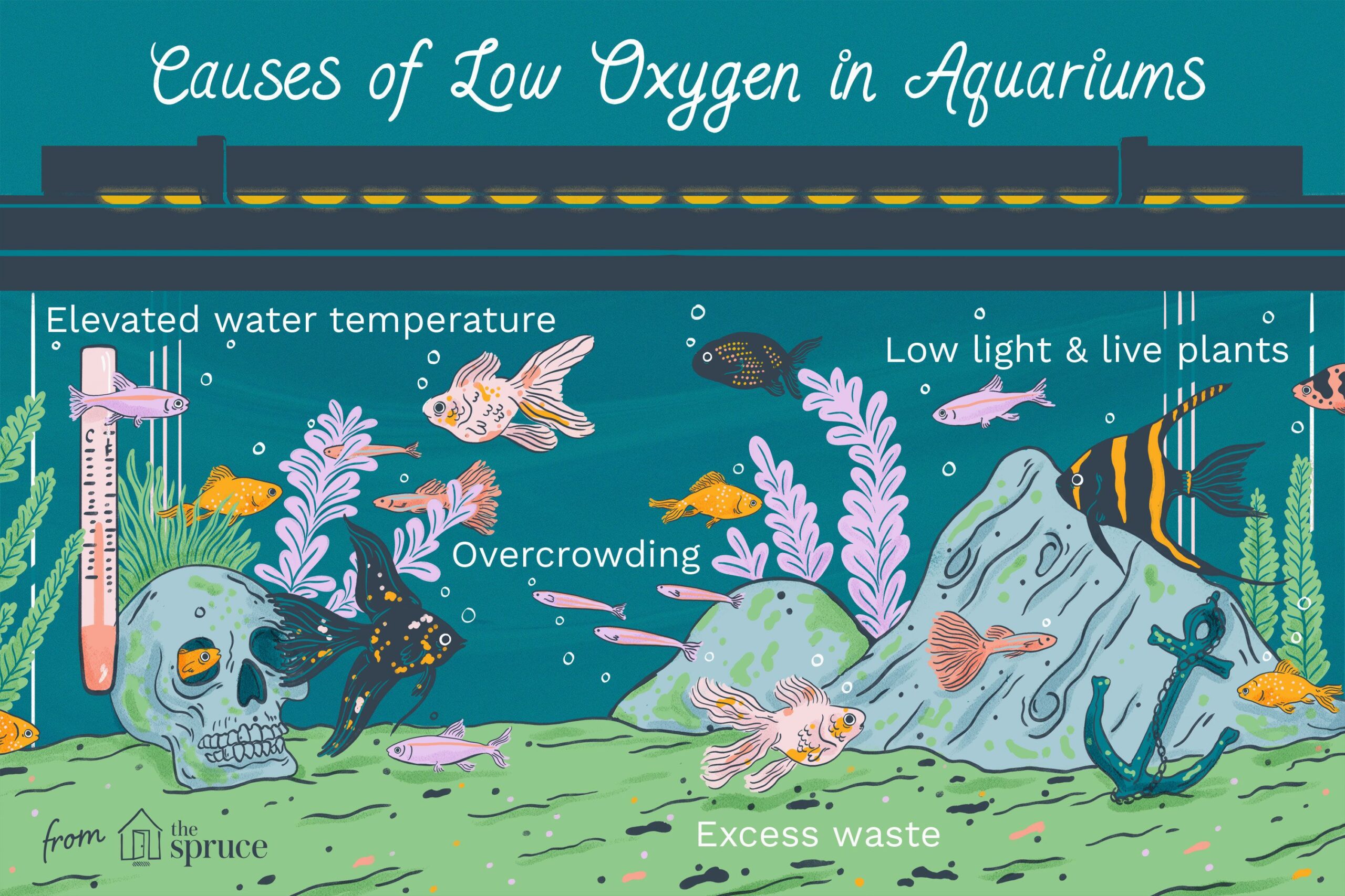 https://aquariumia.com/how-to-increase-oxygen-in-fish-tank/