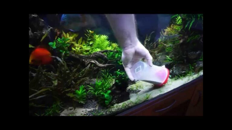 How to Add Sand to an Established Aquarium?