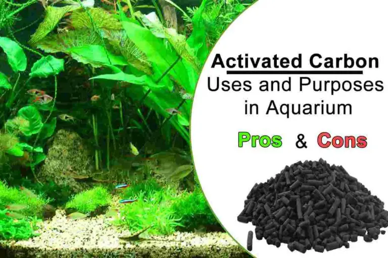 Activated Carbon in Aquarium Pros And Cons