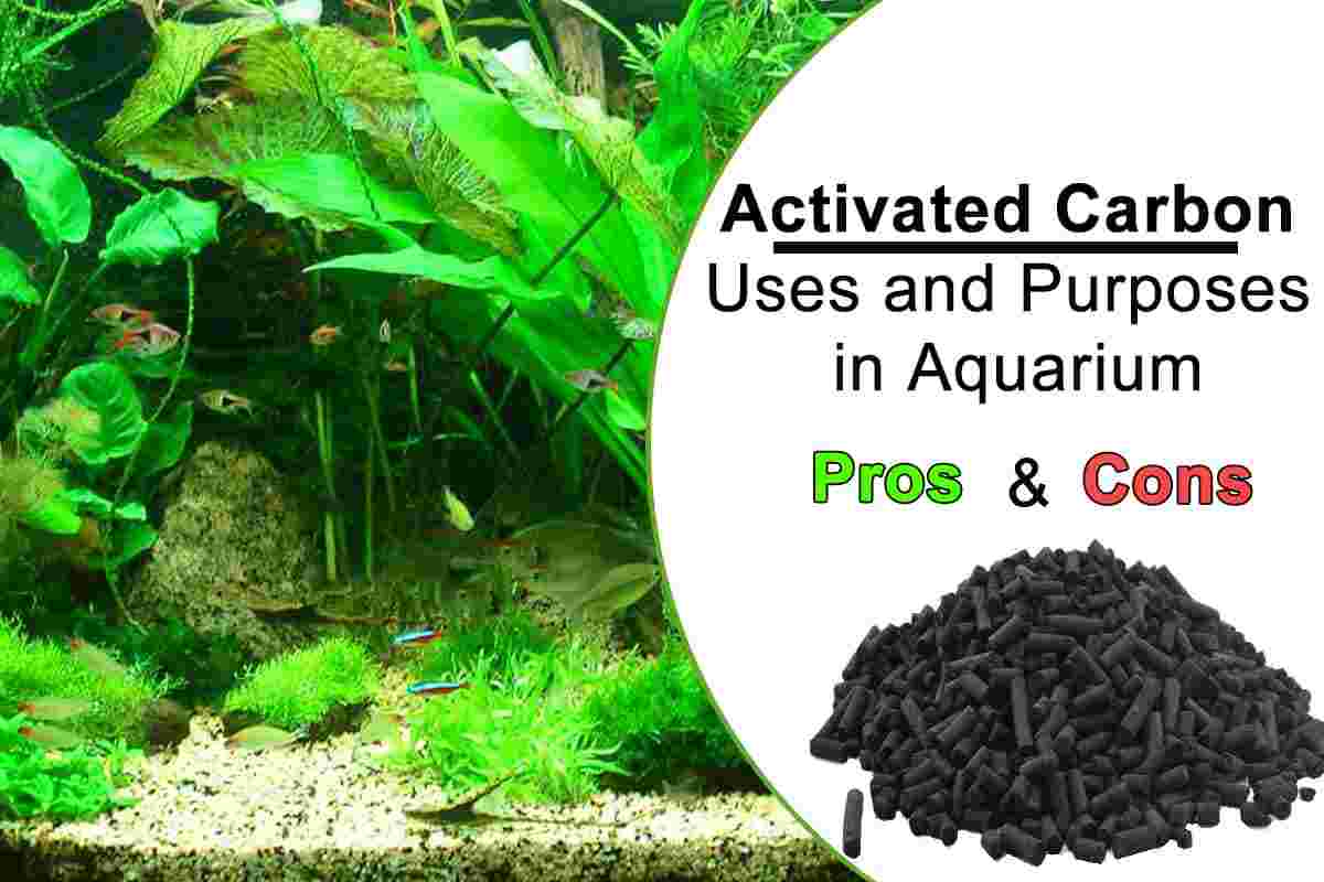 https://aquariumia.com/activated-carbon-in-aquarium-pros-and-cons/