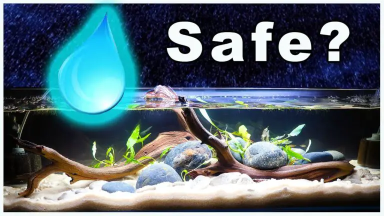 Is Rainwater Good for Aquarium?