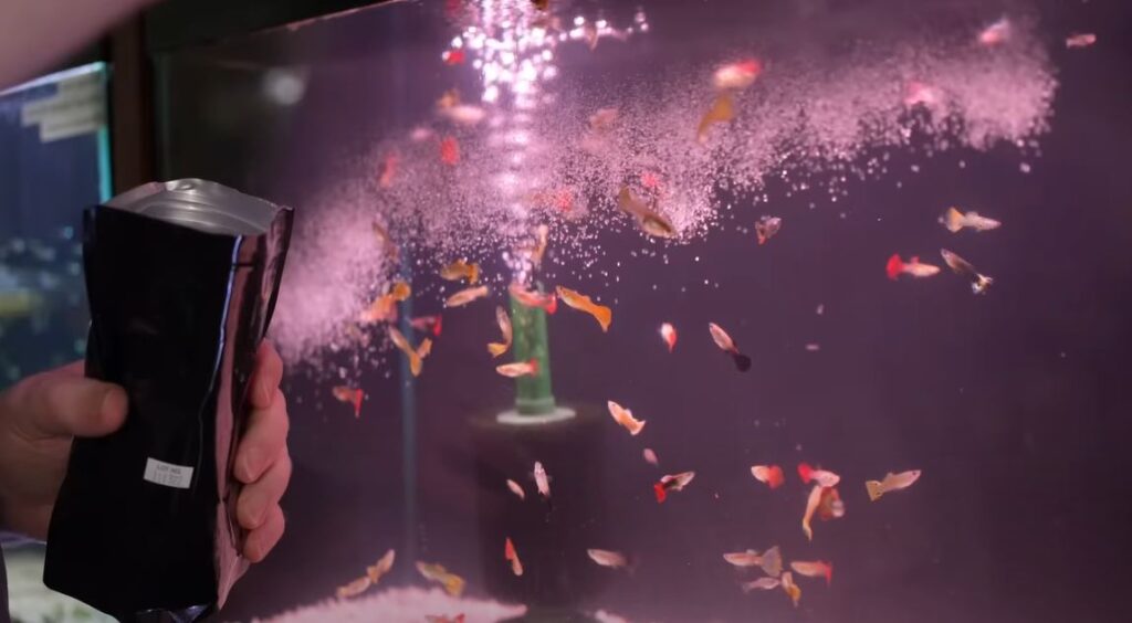 Can Epsom Salt Kill Fish? (13 Tips To Help You) Aquariumia