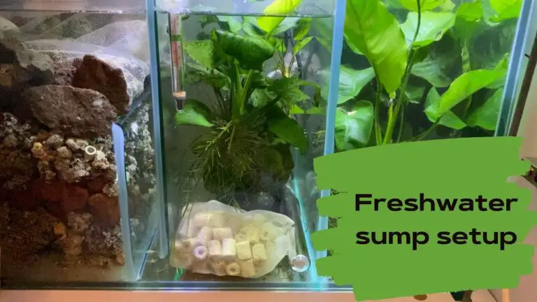Freshwater Aquarium Sump