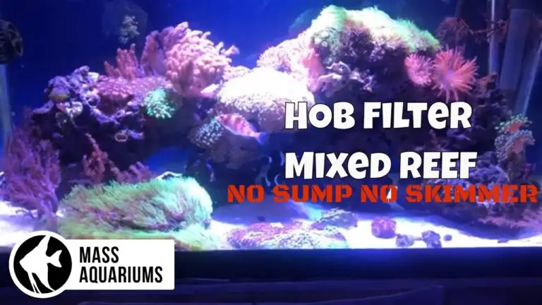 Can a Saltwater Aquarium Use HOB Filters?