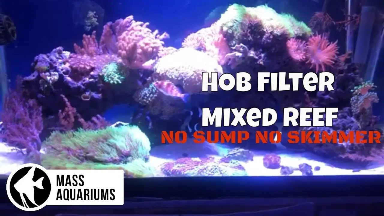 https://aquariumia.com/can-a-saltwater-aquarium-use-hob-filters/