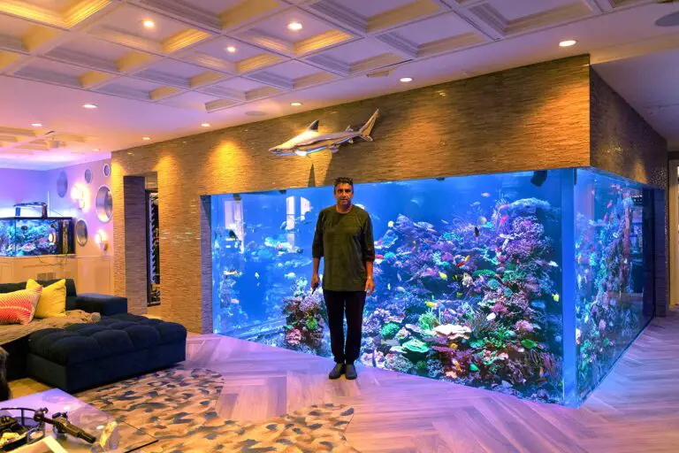 Andrew Sandler Aquarium