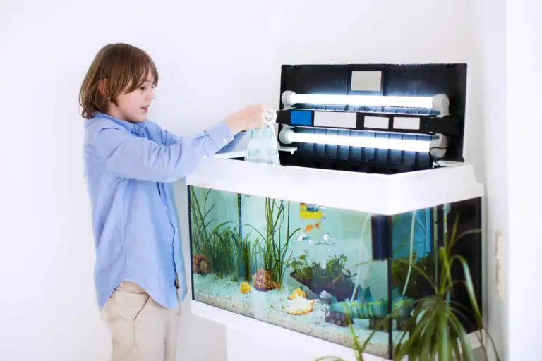 Where to Buy RO Water for Aquarium?