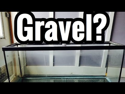 https://aquariumia.com/how-much-gravel-for-a-55-gallon-aquarium/