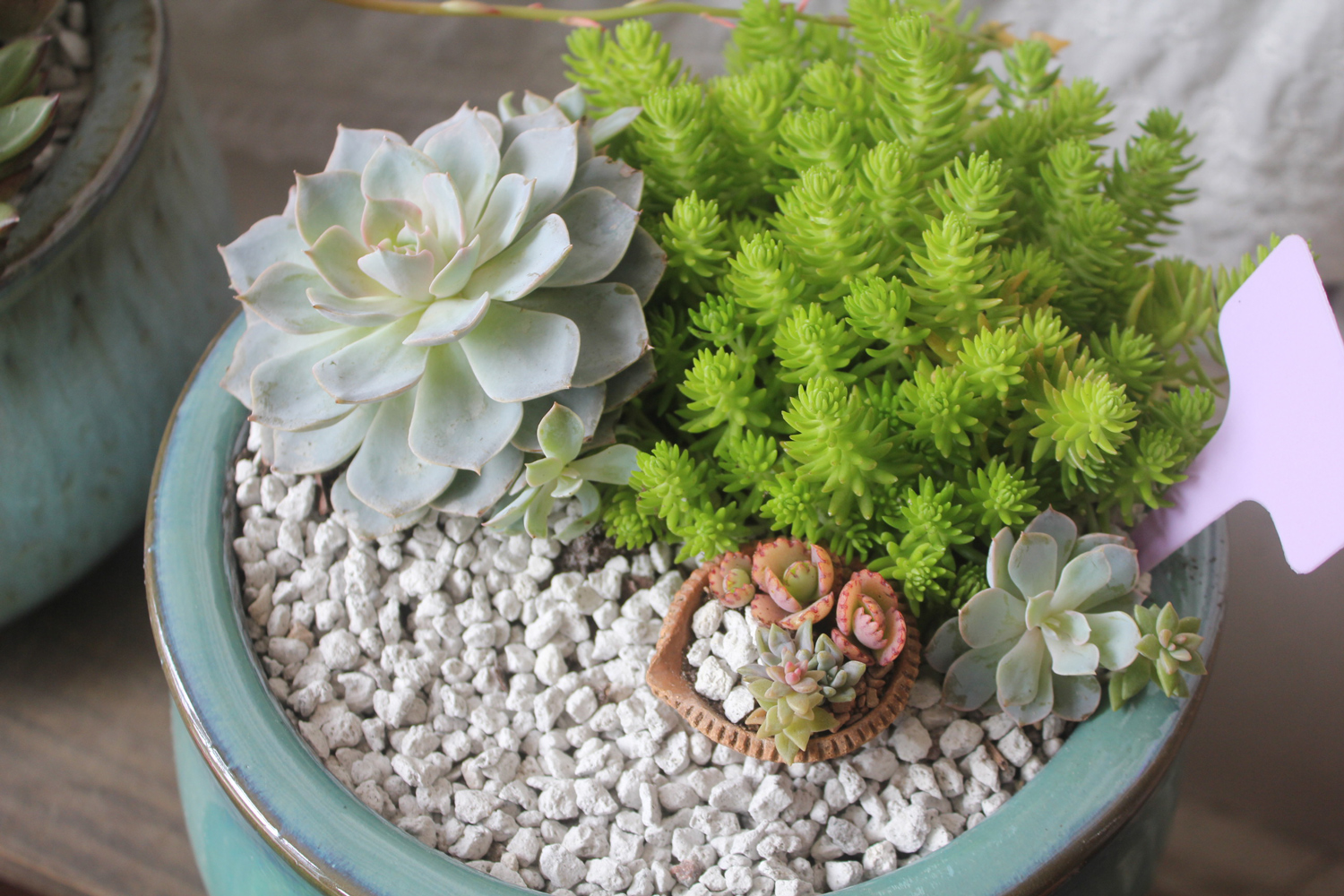 https://aquariumia.com/can-you-use-aquarium-gravel-for-succulents/