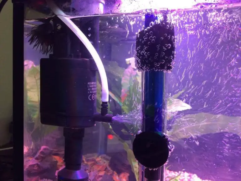 Air Pump Too Strong for Betta