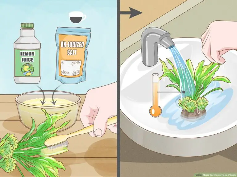 How to Clean Aquarium Plastic Plants?