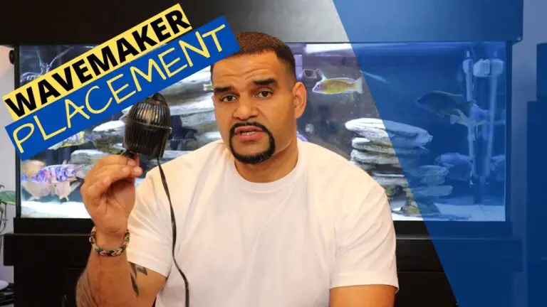 Where to Place Wavemaker in Freshwater Aquarium?