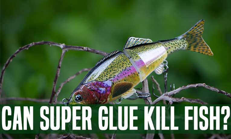 https://aquariumia.com/is-cyanoacrylate-toxic-to-fish/