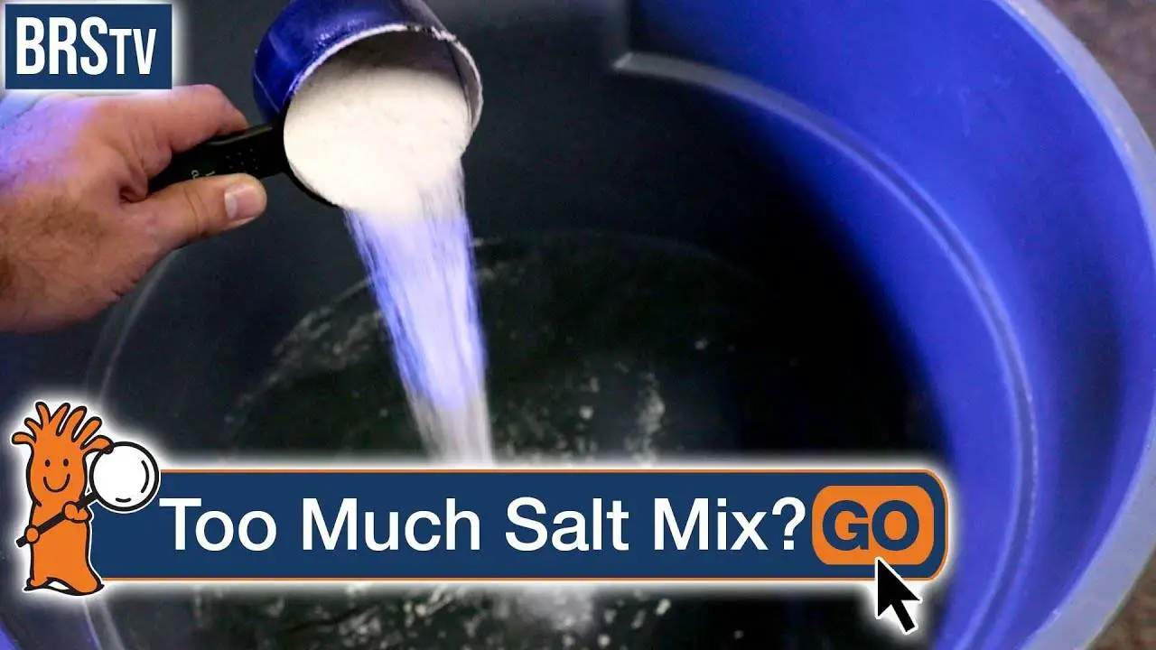 https://aquariumia.com/how-much-salt-per-gallon-for-saltwater-aquarium/