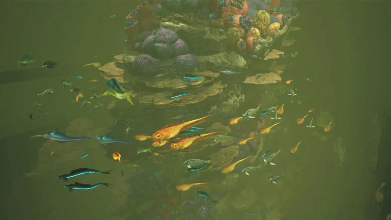 Star Wars Jedi Survivor How to Clean Fish Tank?