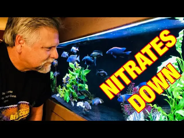 https://aquariumia.com/how-to-lower-nitrates-in-fish-tank-naturally/