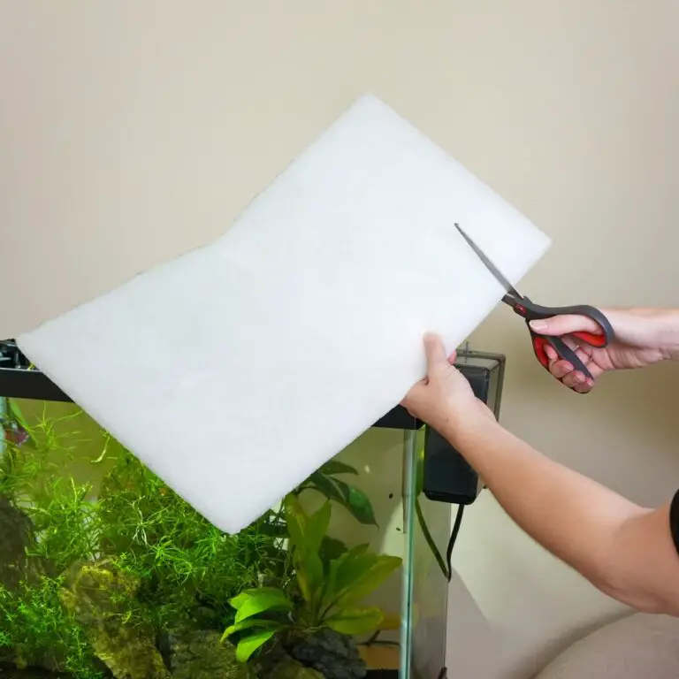 Filter Floss Aquarium