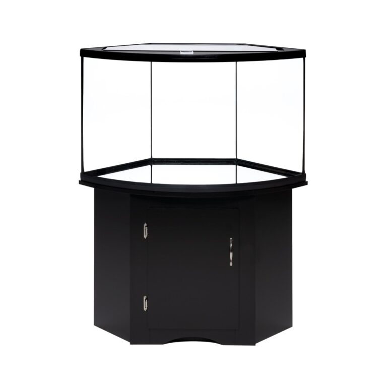 Bow Front Corner Aquarium