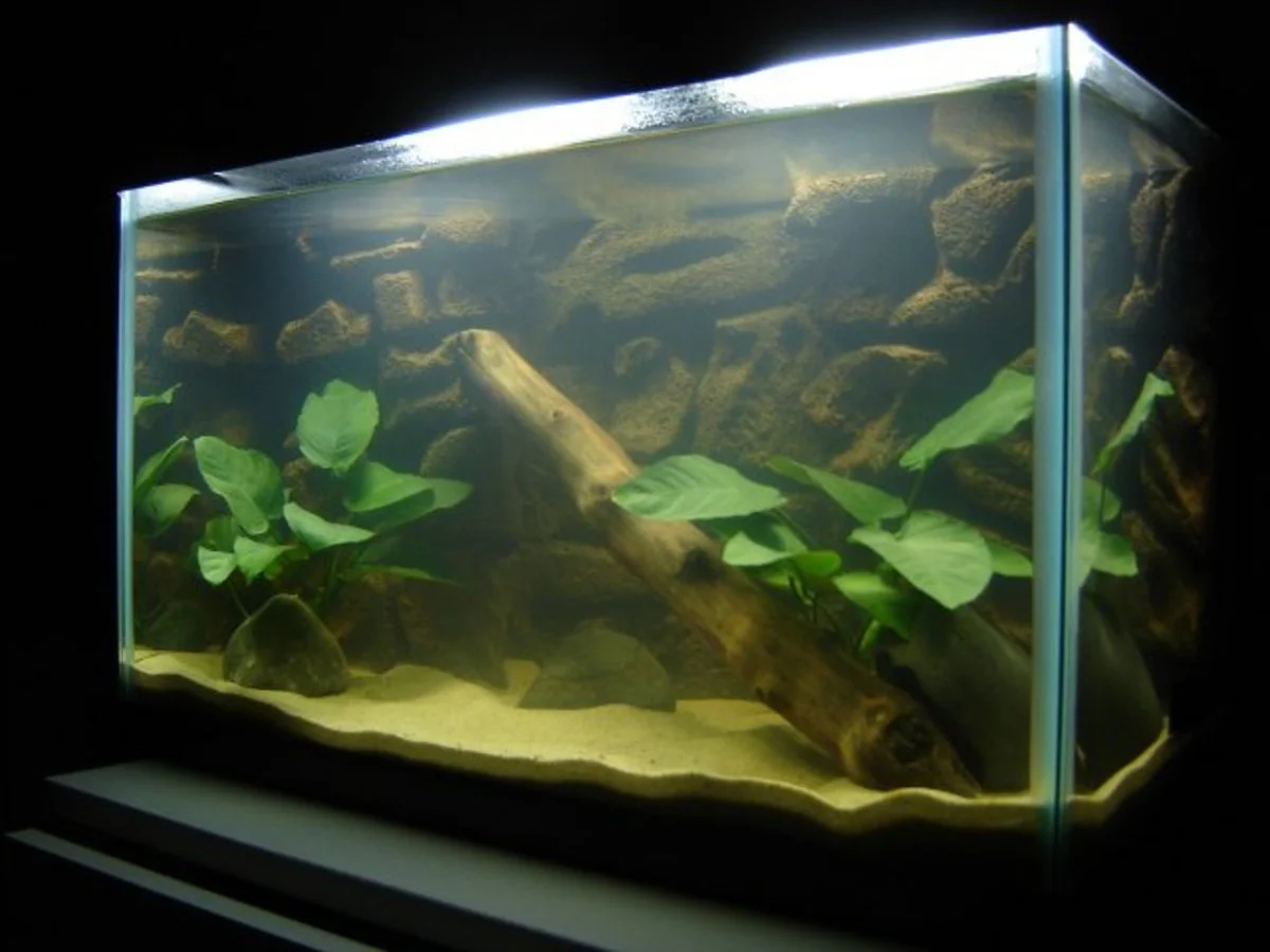 https://aquariumia.com/how-to-prepare-sand-for-aquarium/