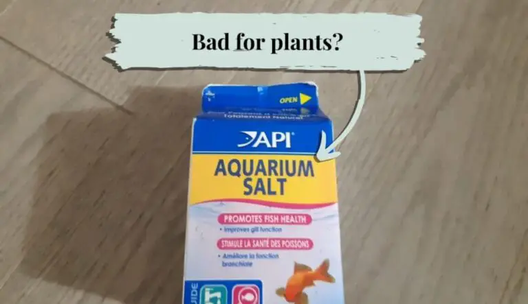 Is Aquarium Salt Safe for Plants?