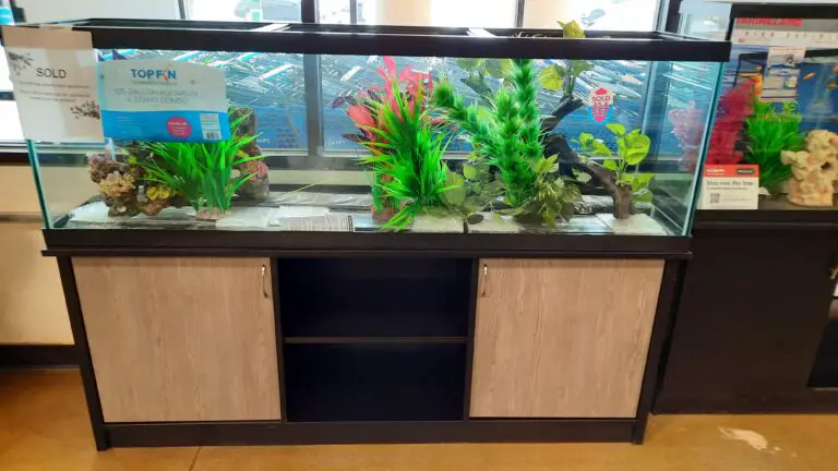 How Much Does a 125 Gallon Fish Tank Cost?