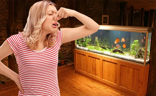 https://aquariumia.com/blog/page/8/