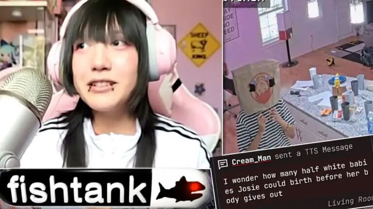 Josie Fish Tank: A Comprehensive Guide for Beginners