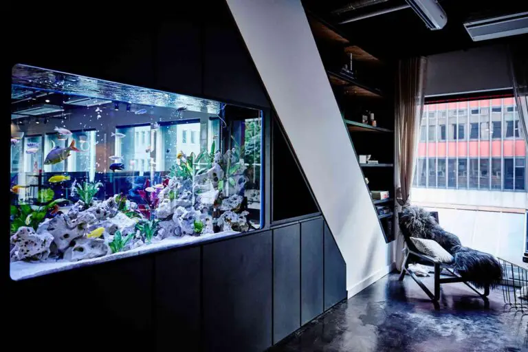 How Much Does a Wall Aquarium Cost?