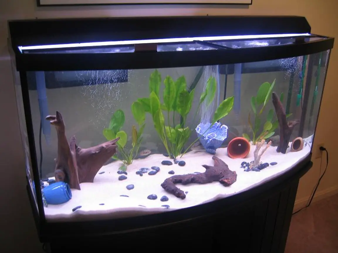 https://aquariumia.com/48-gallon-bow-front-aquarium/