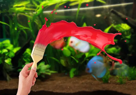 https://aquariumia.com/can-you-paint-inside-wall-of-aquarium/
