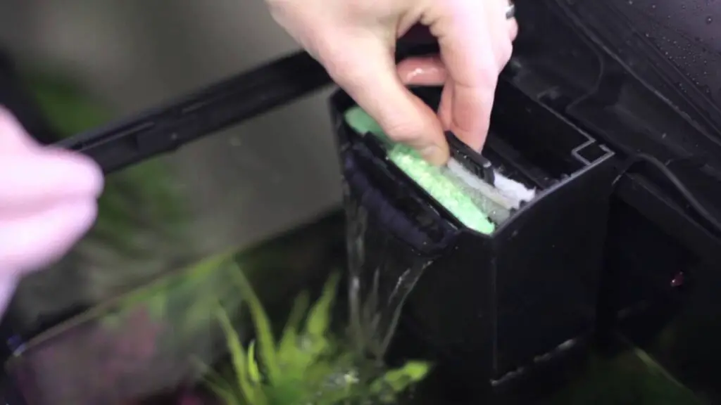 how-to-put-filter-cartridge-in-fish-tank-aquariumia