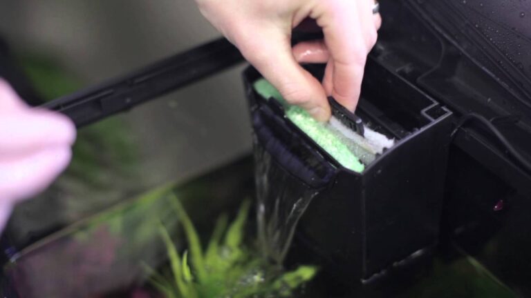 How to Put Filter Cartridge in Fish Tank?