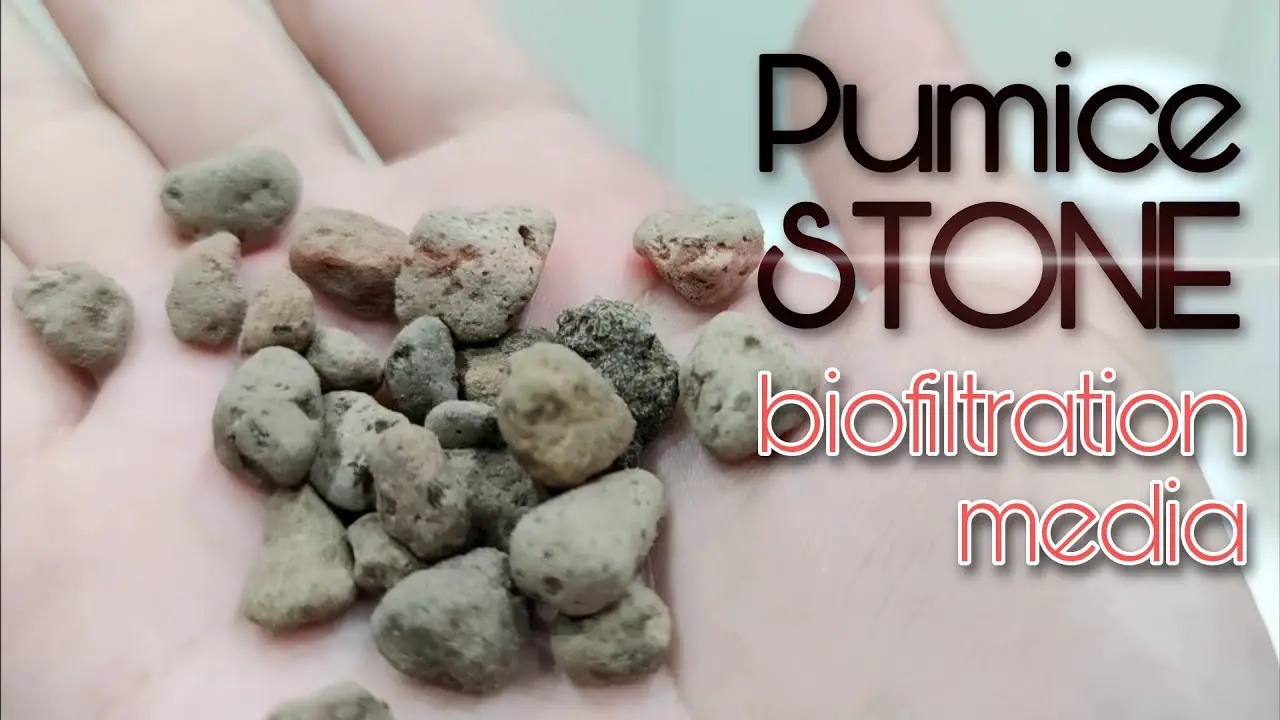 https://aquariumia.com/pumice-stone-aquarium-benefits/