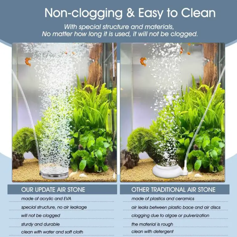 How to Clean Aquarium Air Stones?