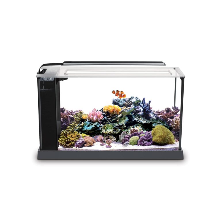 Are Fluval Smart Lights Good for Saltwater Aquarium?