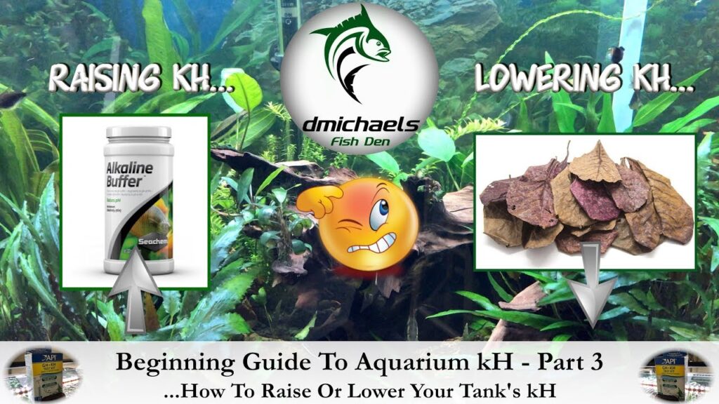 How To Lower KH In Aquarium? Aquariumia