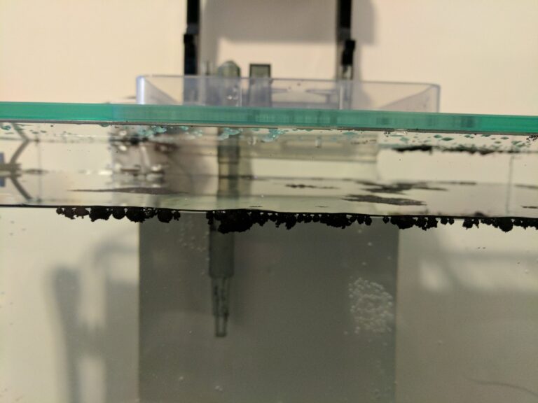 Why is My Aquarium Sand Floating?