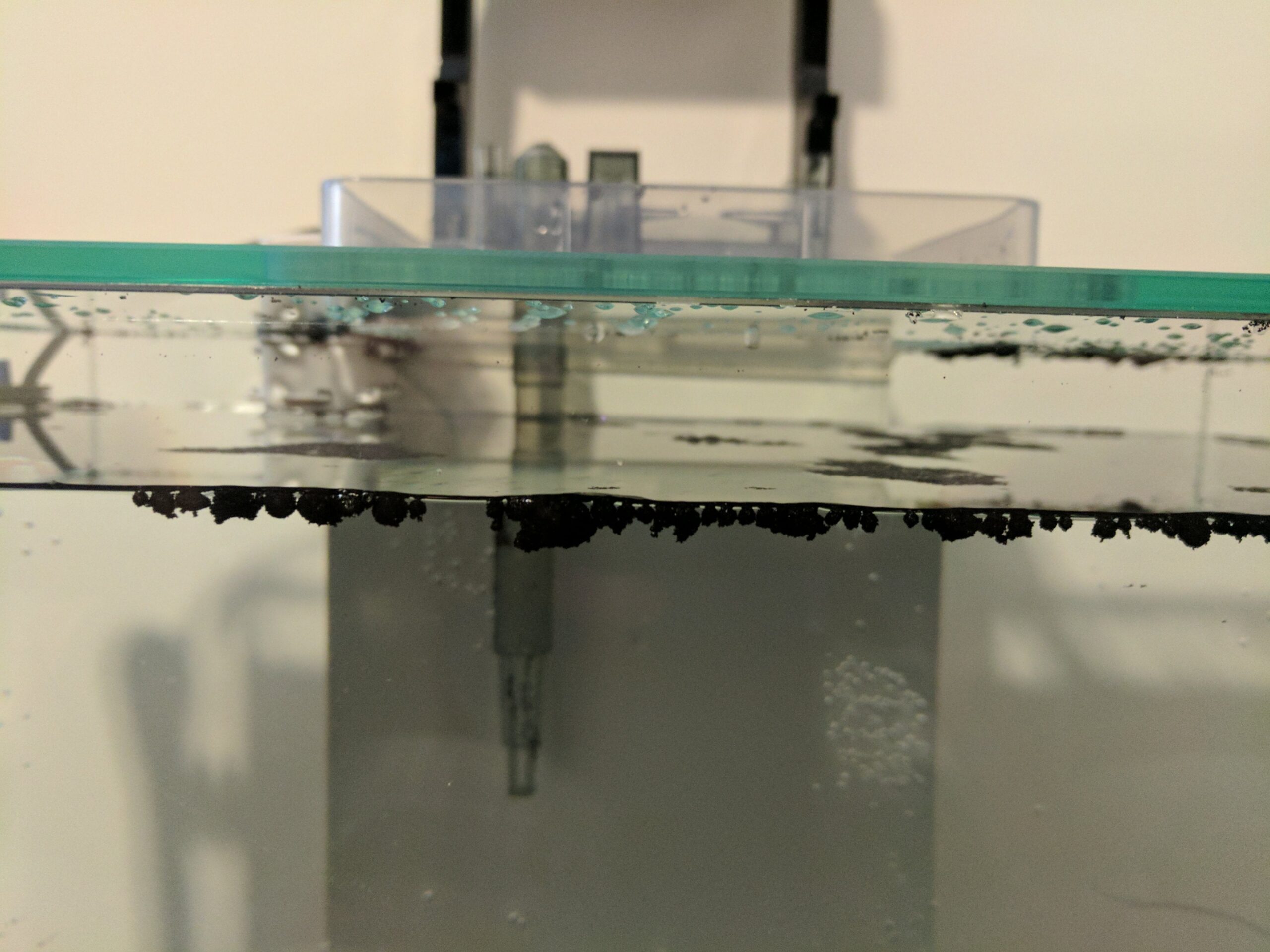 https://aquariumia.com/why-is-my-aquarium-sand-floating/