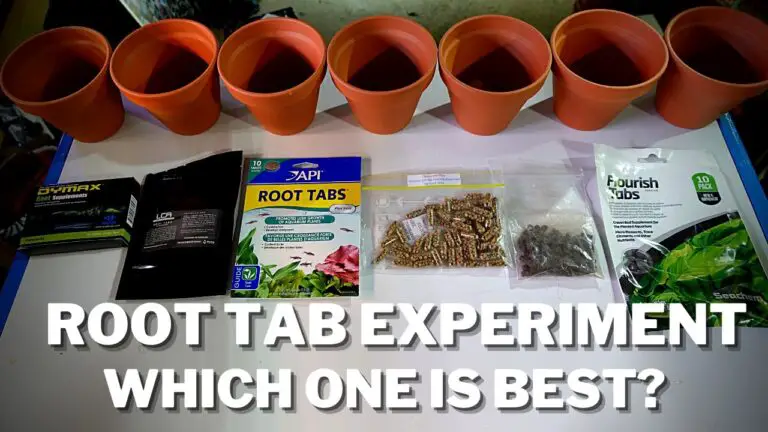 Best Aquarium Root Tabs