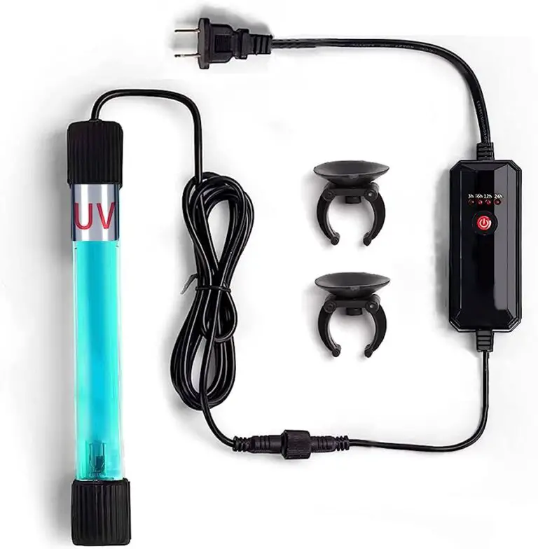 AlgaeFree Fish Tanks Does UV Light Kill Algae in Fish Tanks? Aquariumia