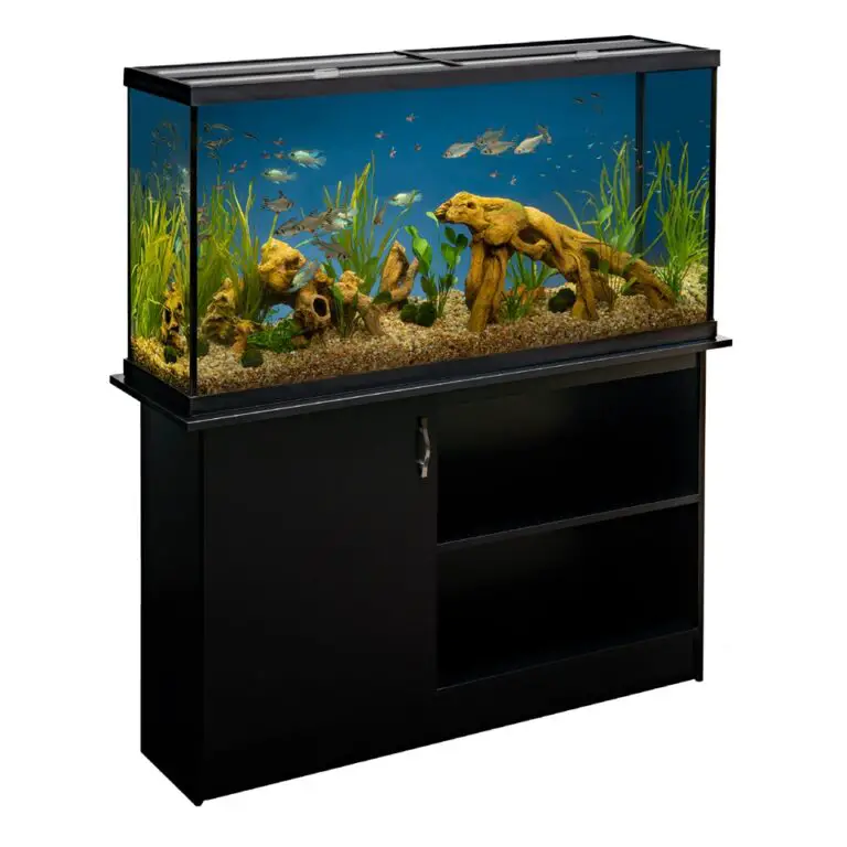 Transform Your Aquarium With The Best 55 Gallon Fish Tank Stand ...