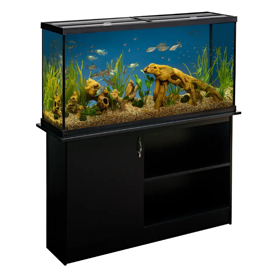https://aquariumia.com/blog/page/6/