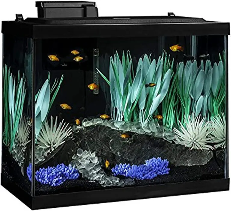Transform Your Tank: 20 Gallon Aquarium Decoration Ideas