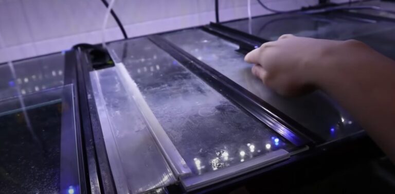 55 gallon fish tank lid