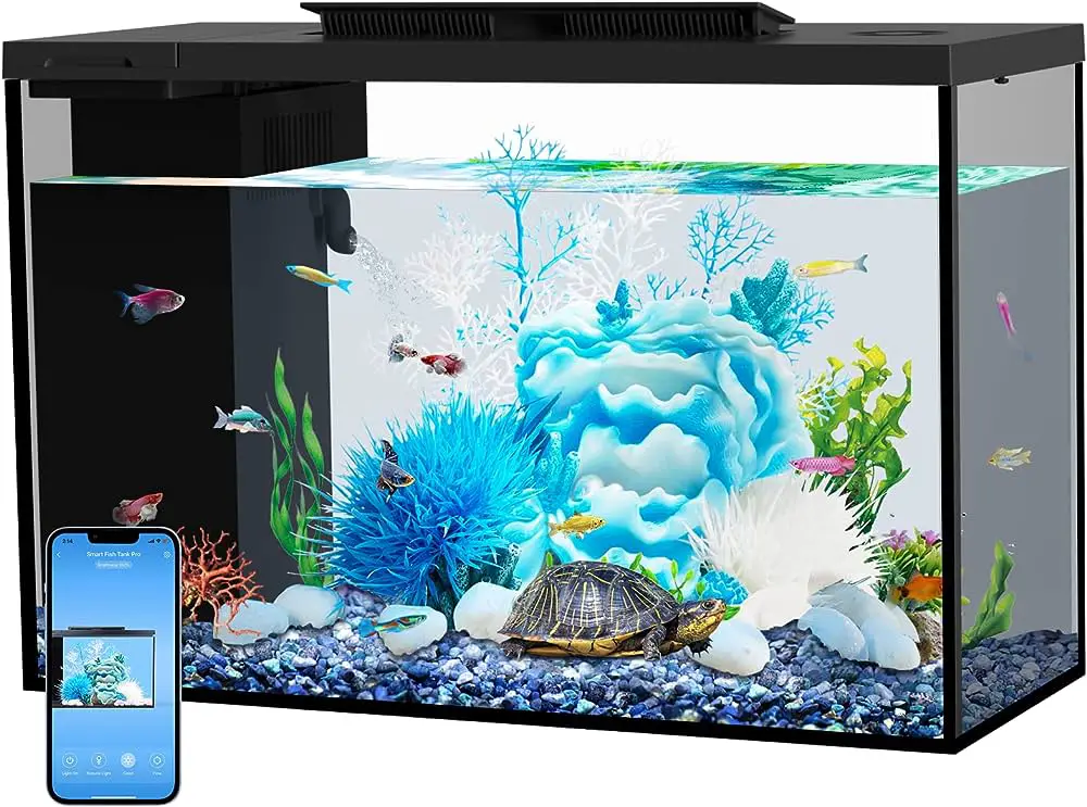 Should I Leave Aquarium Light on Overnight? Unveiling The Truth