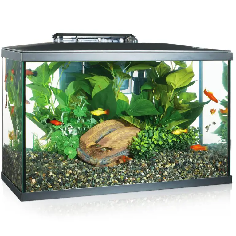 Top Fin Bow Front Aquarium Lid