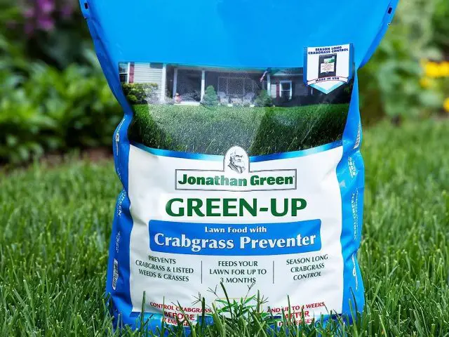 Watering the Lawn With Old Aquarium Water