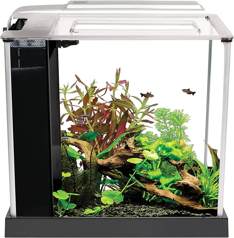 What Ferts Would You Recommend for A 29 Gallon Planted Aquarium ...