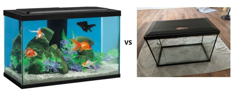 Image showcasing 20 Vs 30 Gallon Fish Tank: Choosing The Right Size For Your Aquatic ...